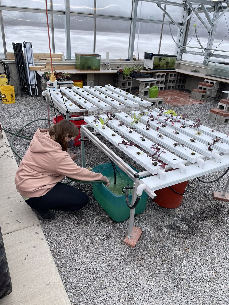 SSBindemann's tweet photo. Remember that February is CTE month. Students in Mr Dewey’s conservation class keep busy with a variety of projects. Always fun to visit this classroom! #engaged #nctec @ONBOCES https://t.co/HeEoE13w2A