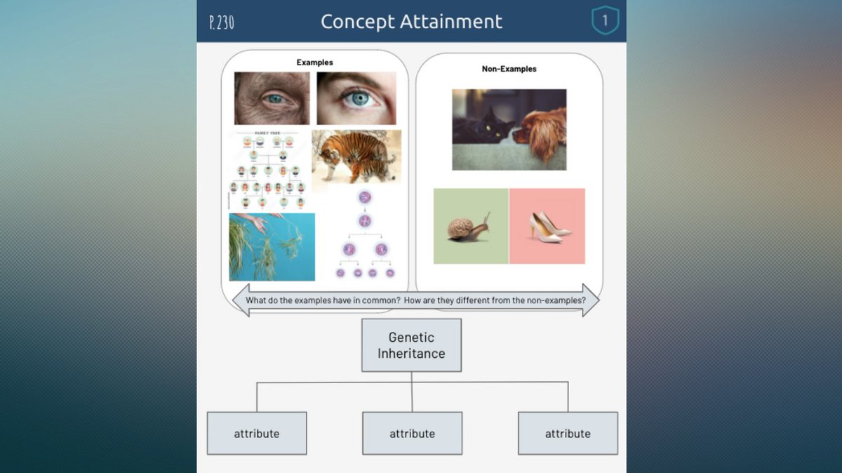 Julia Briggs tweet media