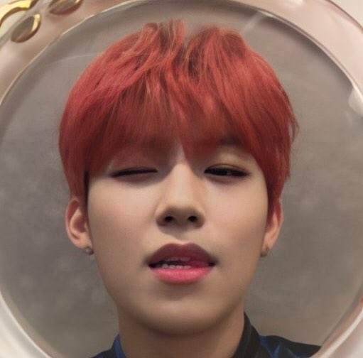 from_today_WJ's tweet photo. #박우진 #좋아하는_박우진_올리기 

좋아하는 셀피 📸 https://t.co/LlBEqiT9Gy