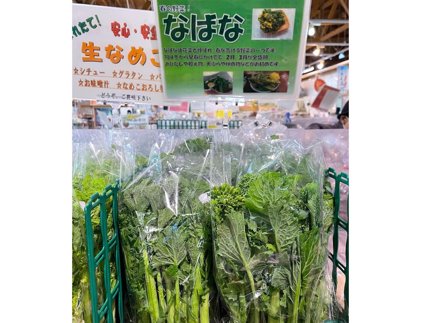 道の駅むなかた 公式 旬の野菜入荷してますヨ 菜花につぼみ菜 菜花はビタミンとミネラルを多く含んでおり つぼみ菜 もgabaやbカロテン ビタミンeなど両方とも栄養豊富な野菜です つぼみ菜はコリッとした食感がたまらない 皆さまのご来館