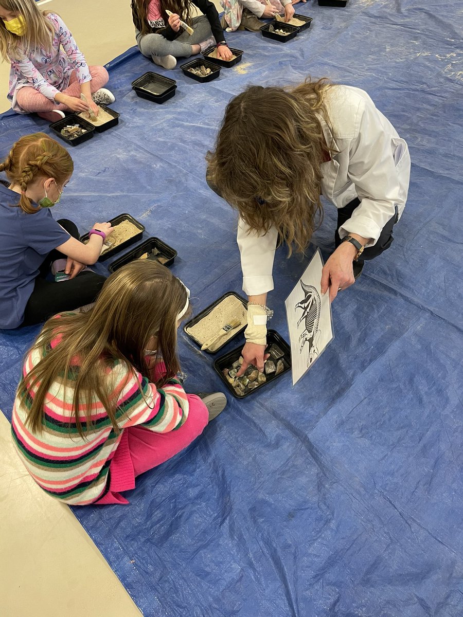 CBJenDellaPorta's tweet photo. Today was the great dinosaur dig in 2nd grade! The Ss had so much fun learning about fossils, rocks, and minerals. They even had a chance to dig for their own. It was a great day in 2nd grade @CBGaymanES https://t.co/OSxXWrDZN4