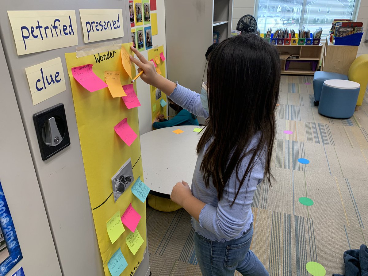 Hortons Creek 2nd tweet media