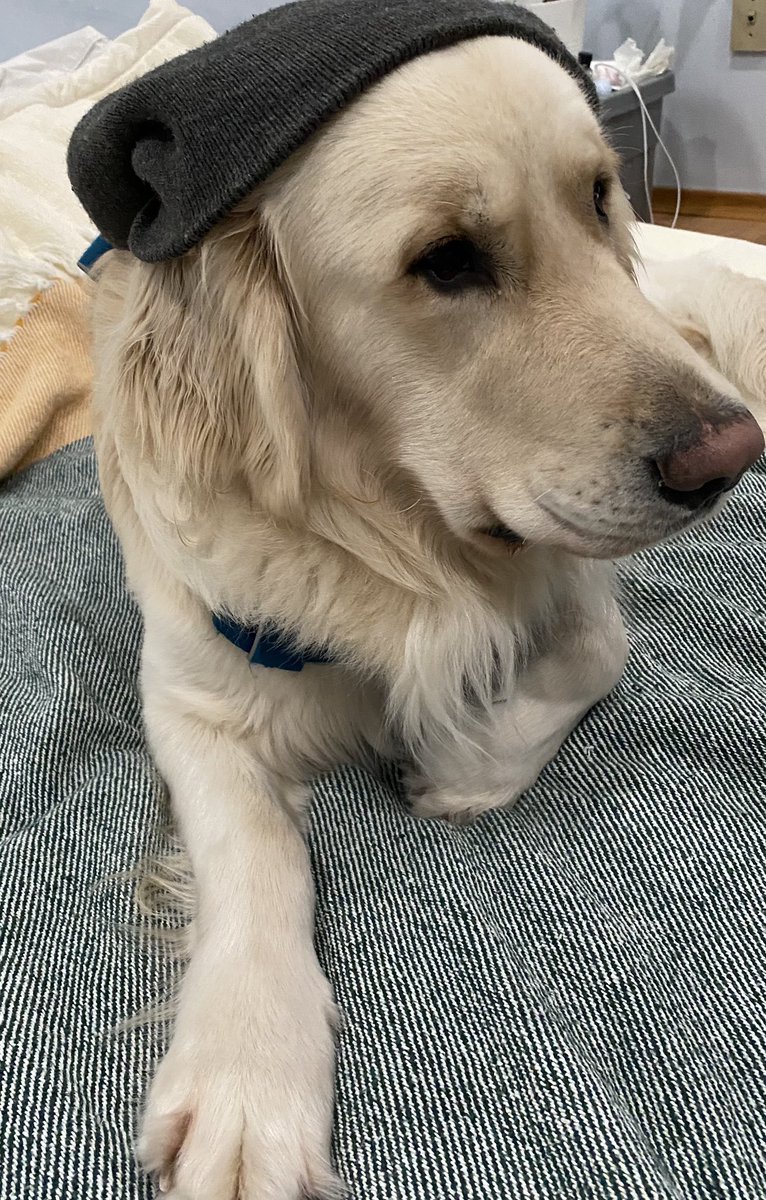 Kim Huynh tweet media