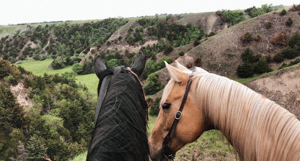 30Katelyn's tweet photo. It’s time for me to load up the horses and head west to these amazing views🌾 https://t.co/9Mc3Vf5HiC