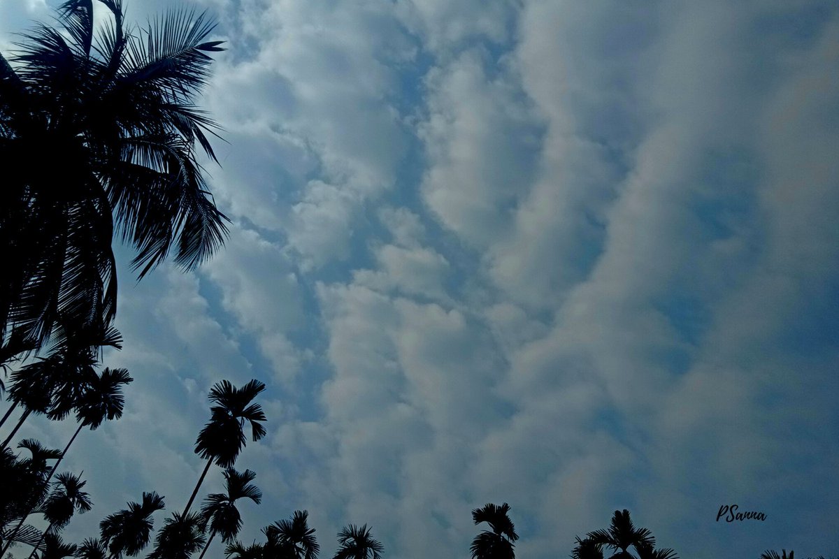 Sg_sanna's tweet photo. Clouds that give hope for a day !
#cloudsphotography
#winterclouds
#februaryclouds
#garohillsmeghalaya
#northeastindia https://t.co/FSNmLJzqHD