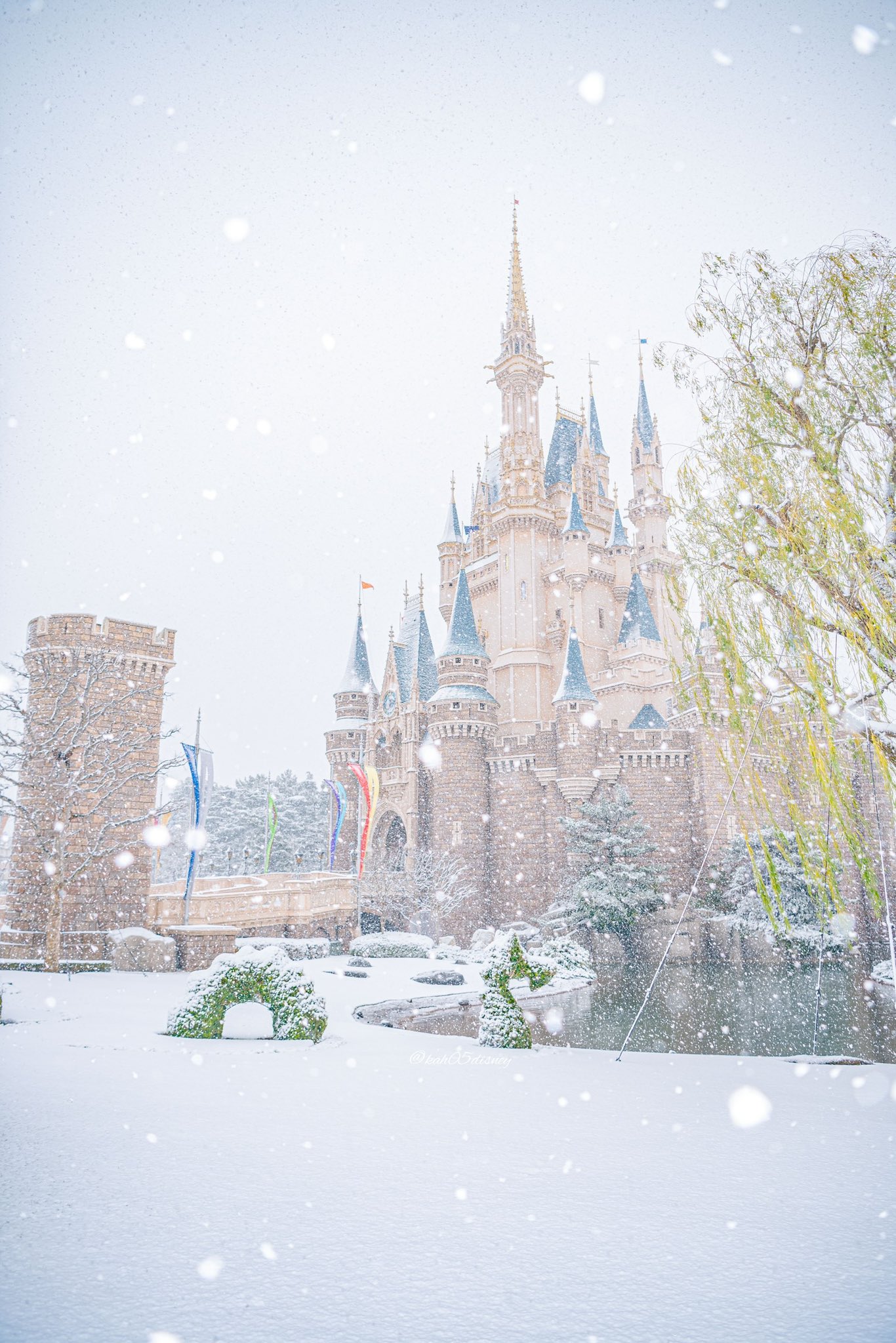 雪の降る東京ディズニーランド T Co Mxxfuet17o Twitter