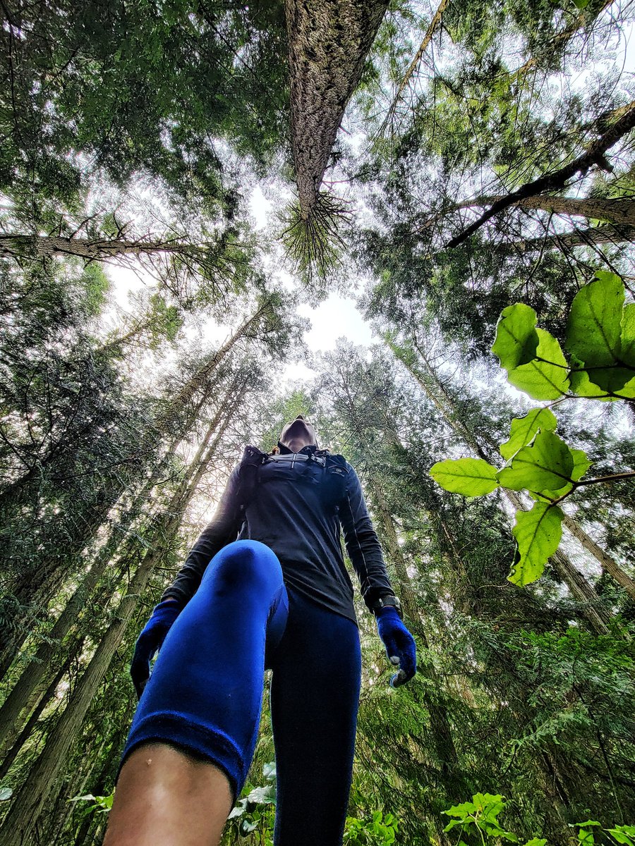 drtyrunner's tweet photo. Mountain magic strikes again.🙌 #outsideismybestside #pnw #upperleftcorner https://t.co/sFLB7jN4mV