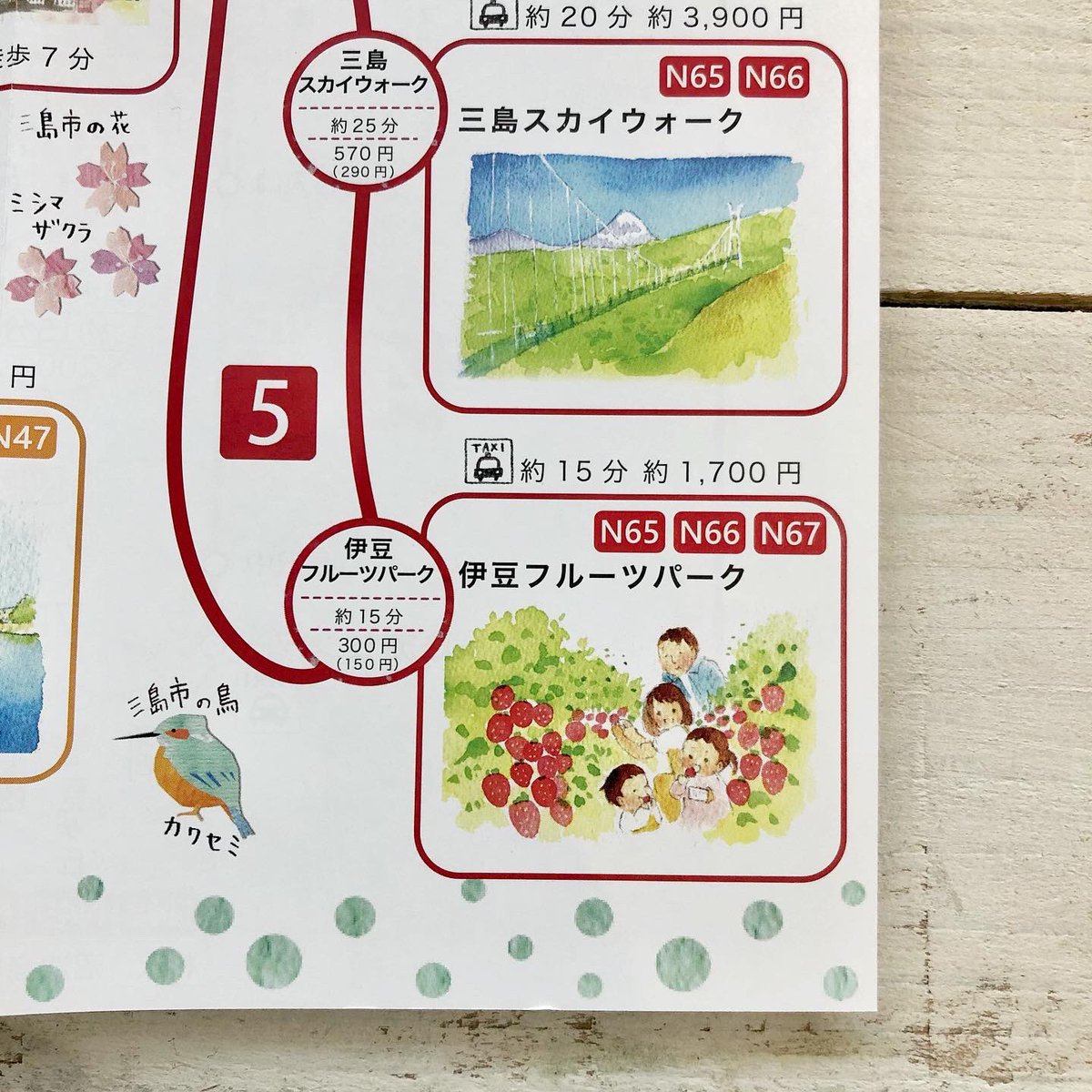 「乗って 旅する みしまっぷ」
できました‥やっと‥
(発行:三島市地域公共交通網形成協議会)
観光スポットの絵も描きました💪
表紙にいるファミリーが、各名所をまわって遊んでいます。