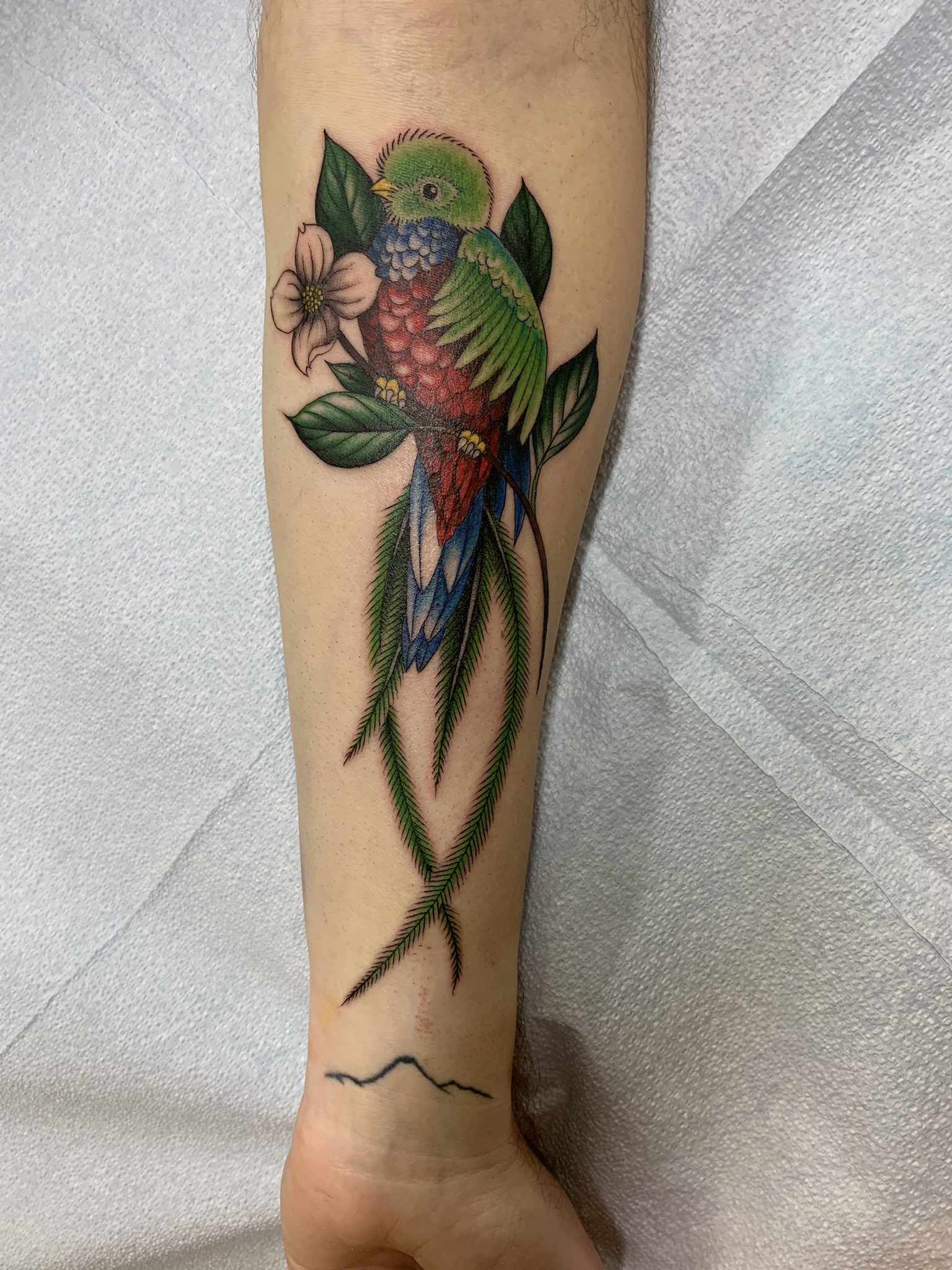 Blessed By Jessla on Instagram Heres a beautiful Cover Up of a Quetzal  Bird with Cherry Blossoms around it For appointments email me at  jesusibanez6262gmailcom or
