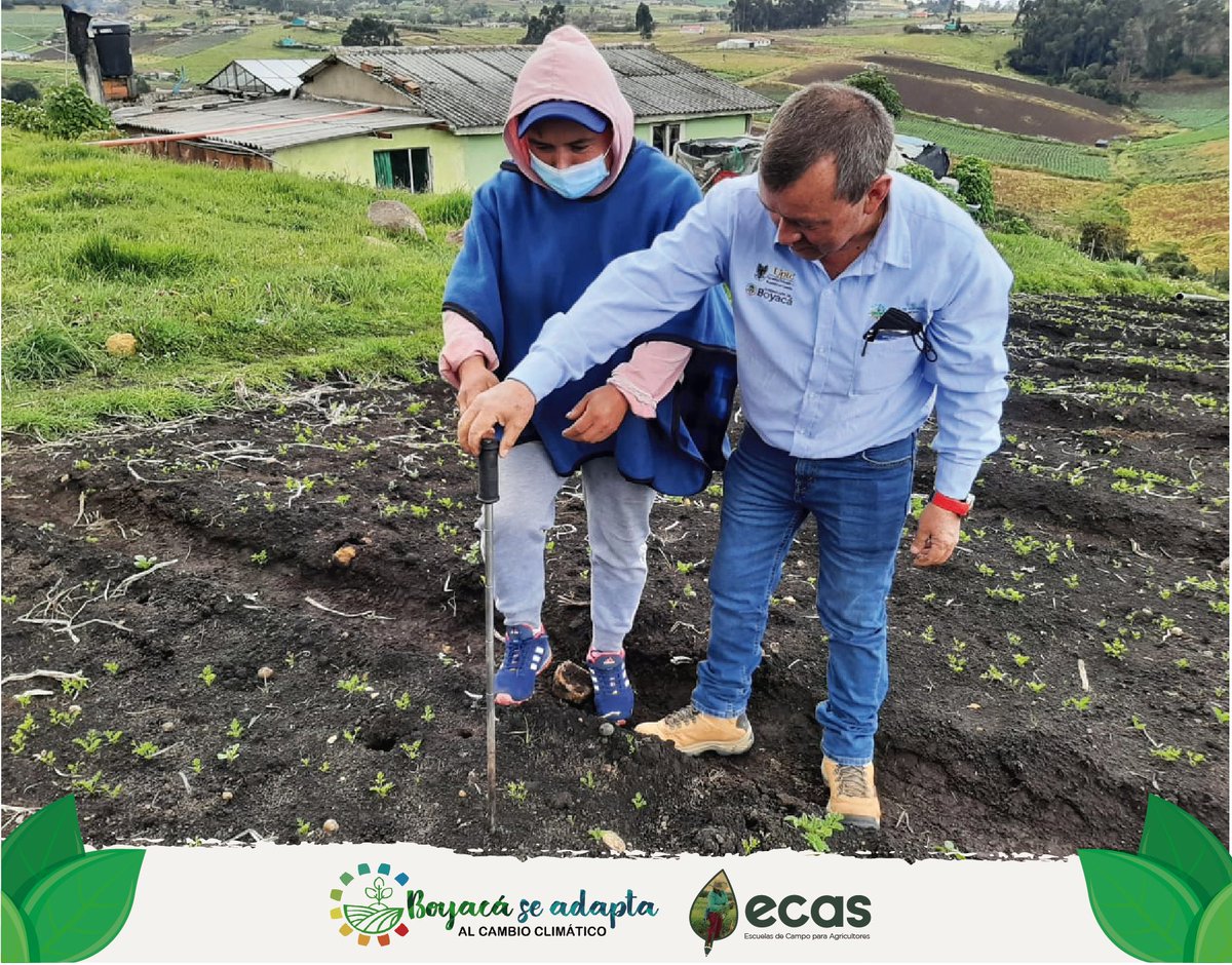 Boyacá se Adapta al Cambio Climático tweet media