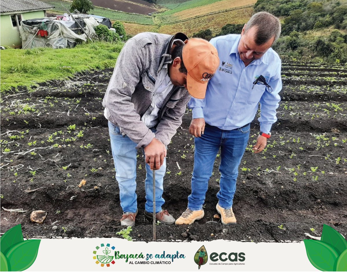 Boyacá se Adapta al Cambio Climático tweet media