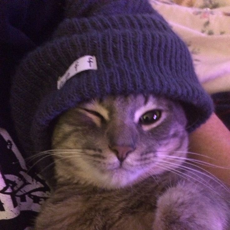 good meowning! 💙
#Jungsu #정수