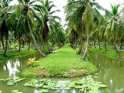 Goona_Agro's tweet image. Did you know that 1 Acre of Aromatic Hybrid Coconut farm will get you 12,750 coconut fruits per year? Calculate it in cedis term and see your money. #PlantACoconutToday #OwnAnAcre #OwnAFarm….contact us at Goona.me for your coconut seedlings…