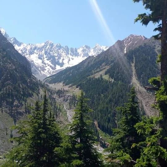 AjazNtfp's tweet photo. The Hindukush Snow Festival is here, and the Chitral Forest Division is ready to welcome you to #Madaklasht to mark Plant for Pak Day. Let’s plant for Pak, let's plant for Chitral. Guests will plant under the "Signature on Earth" in Madaklasht.
#10BillionTreeTsunamiProgramme. https://t.co/OGAY25CyiT