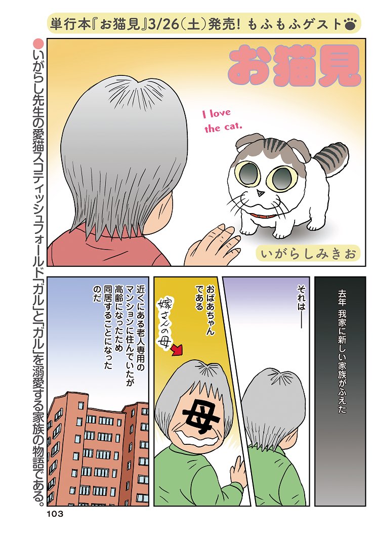 センターカラー Amp ゲスト お猫見 いがらしみきお いがらし家の猫エッセ 竹書房4コマ編集部の漫画 センターカラー Amp ゲスト お猫見 いがらしみきお いがらし家の猫エッセ 竹書房4コマ編集部の漫画