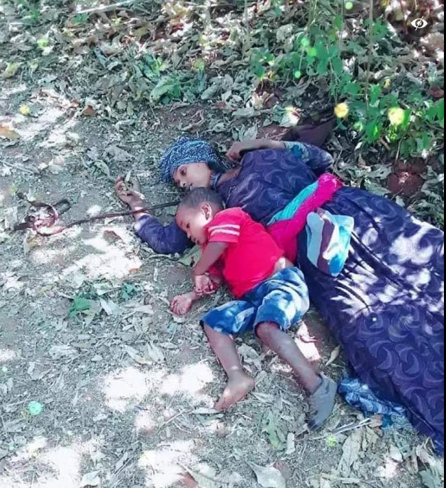 Dawit (@hoaaffairs) on Twitter photo License to kill in #Ethiopia: Stolen dreams & a mother’s undying love till the last minute. A piece of you dies. Their greatest crime: being an #Amhara Searching for meaning in the ethnic wasteland! <a href="/NeaminZeleke/">Neamin Zeleke</a> <a href="/jeffpropulsion/">Jeff Pearce</a> <a href="/afitz3105/">Ann Fitz-Gerald</a> <a href="/hrw/">Human Rights Watch</a> <a href="/DanielBekele/">Daniel Bekele</a> <a href="/PMEthiopia/">Office of the Prime Minister - Ethiopia</a> <a href="/nytimes/">The New York Times</a> License to kill in #Ethiopia: Stolen dreams & a mother’s undying love till the last minute. A piece of you dies. Their greatest crime: being an #Amhara Searching for meaning in the ethnic wasteland! <a href="/NeaminZeleke/">Neamin Zeleke</a> <a href="/jeffpropulsion/">Jeff Pearce</a> <a href="/afitz3105/">Ann Fitz-Gerald</a> <a href="/hrw/">Human Rights Watch</a> <a href="/DanielBekele/">Daniel Bekele</a> <a href="/PMEthiopia/">Office of the Prime Minister - Ethiopia</a> <a href="/nytimes/">The New York Times</a>
