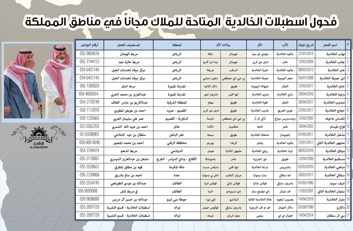 mutlaqmishref's tweet photo. تنفيذًا لتوجيهات سيدي صاحب السمو الملكي الأمير خالد بن سلطان بن عبدالعزيز ( ادامه الله )  ومتابعة سيدي صاحب السمو الملكي الأمير فهد بن خالد بن سلطان ، على دعم مربي وملاك الخيل العربية في جميع مناطق المملكة .. تم إتاحة عدد من فحول اسطبلات الخالدية للتشبيه مجانًا  . https://t.co/IV3qTSO3rP