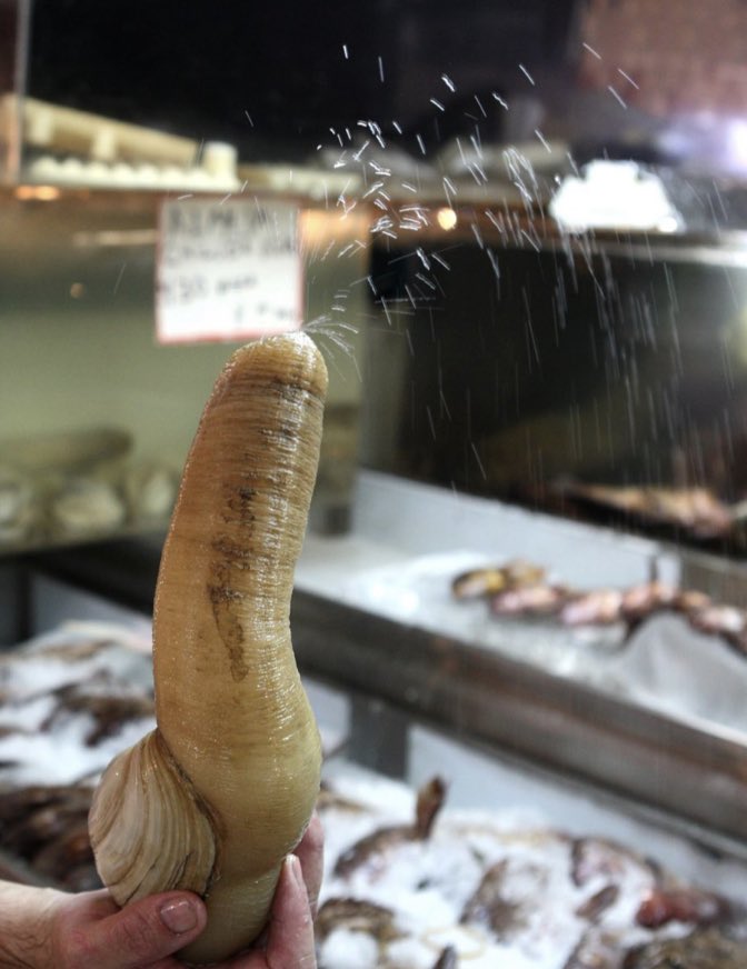 WhatDildoIsThis's tweet image. 