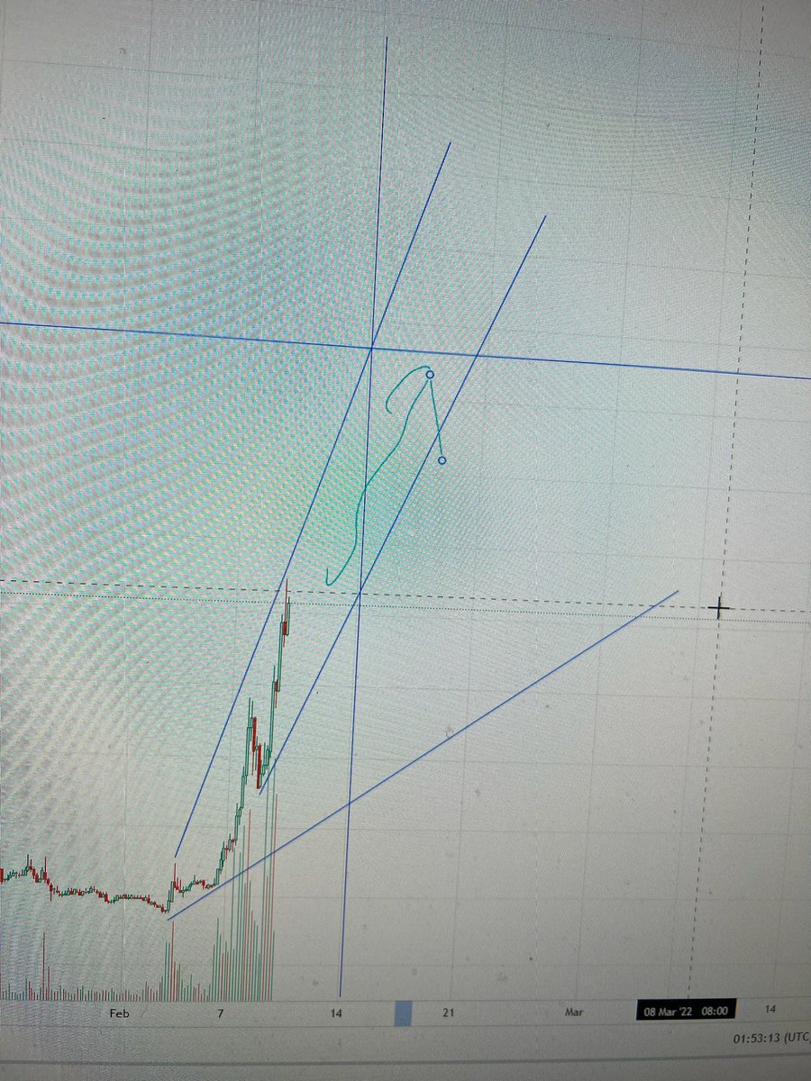 brycent's tweet photo. Just did 10 hours technical analysis investigating on the blockchain for $SLP. 

Then I decided to draw these little lines on there. 📈

It has to only go up up up! 🥴🚀 https://t.co/CayAI9R0Fr