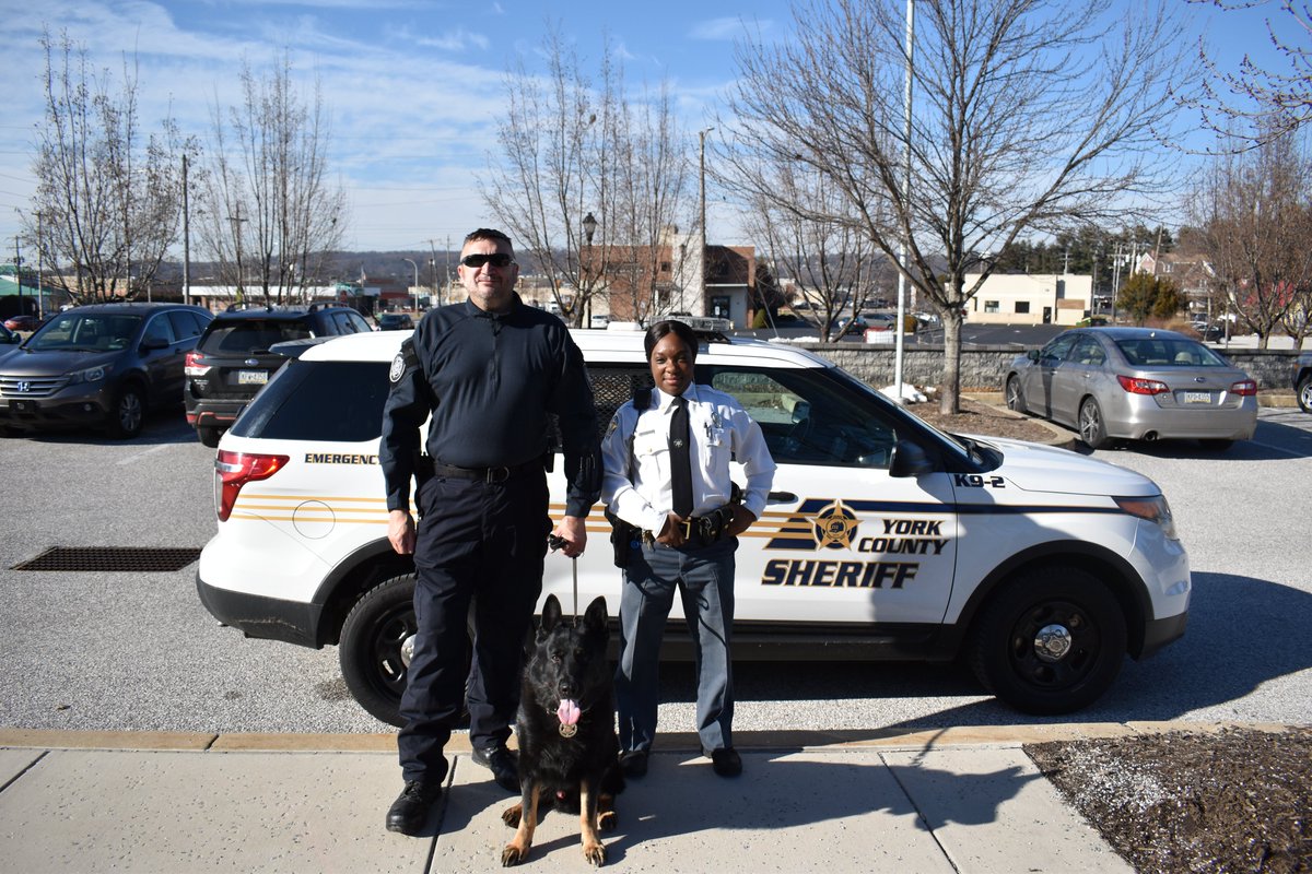 Lt. Godfrey, Dep. Sharrar, and Capt. Dargo (a German shepherd) from the York County Sheriff's Office visited with <a href="/YorkshireElem/">Yorkshire Elementary School</a>'s first-grade students today. The kids learned how Capt. Dargo's amazing tracking skills keep our community safe!

View the thread for more pics.⬇️