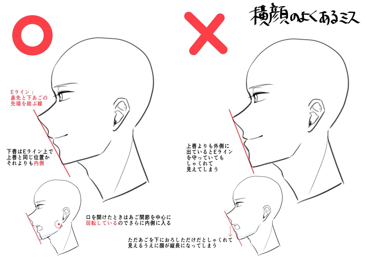 横顔の作画メモ。横顔だけいつもなんか変だな…って時は大体下唇かアゴの位置をミスってる。 