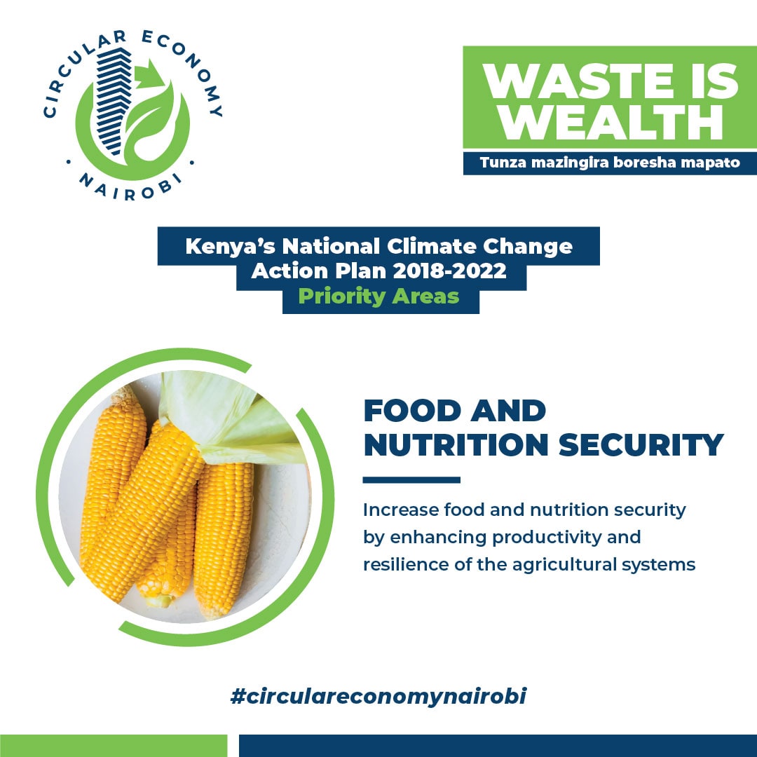 Circularnbo's tweet photo. Let's adopt the productivity of resilience agricultural crops.

#circulareconomynairobi
#wastemanagement
#takanimali #Natembeya #Ruiru #sabinachege #mizanipollsrelease https://t.co/3oFxEkLtYu