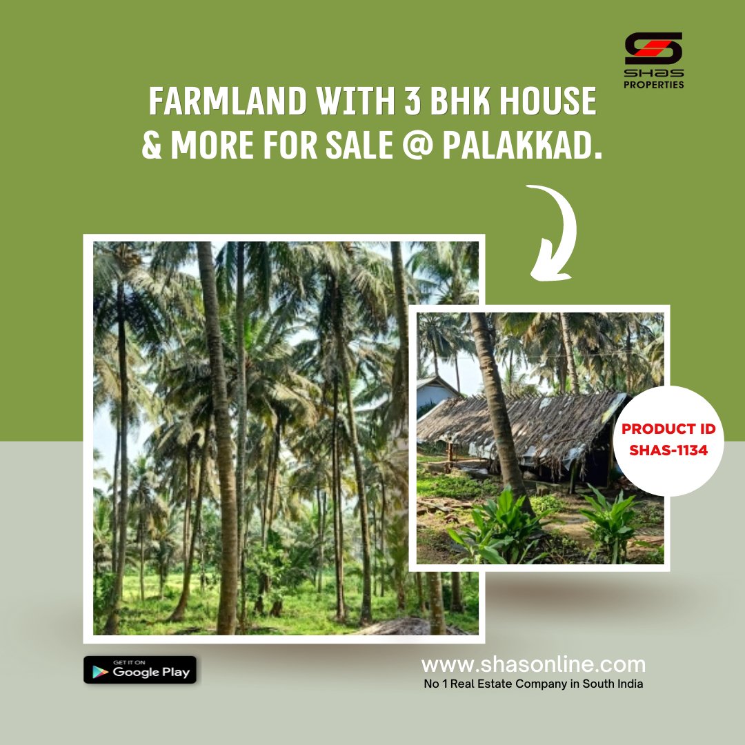 An incredible opportunity to own profitable farmland with an elegantly designed house for sale in Palakkad.
#shasproperties #realestate #realestateinvesting #farmlife #farming #coconutfarming #farmhouse #farmlandforsale #farmhouseforsale #realestateagencyinpalakkad