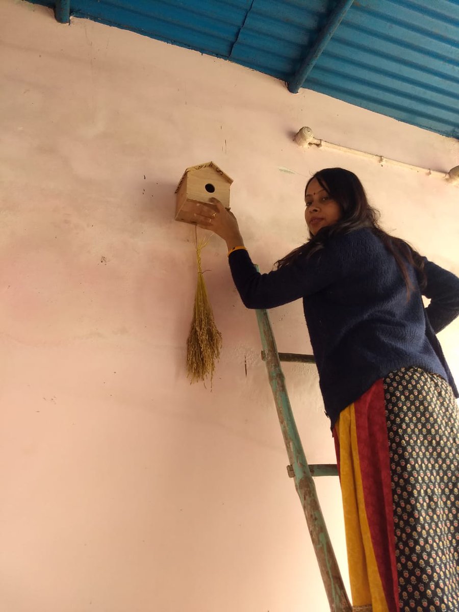 RubyKum16028172's tweet photo. आज मै जब सोच रही,
गौरैया की चीं चीं की आवाज, 
घरों में इधर उधर फुदकना,
कितने वर्षो हो गए देखे।
उस समय को फिर से दुहराना,
उनके लिए अपने घर में
एक छोटा सा घर बनाना,
मेरी एक छोटी सी प्रयास! https://t.co/HkVIVYpaVp