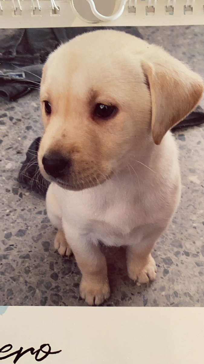 Iva_ymi's tweet photo. Tan pequeñita que era♥️ https://t.co/Xay5RiZAG8