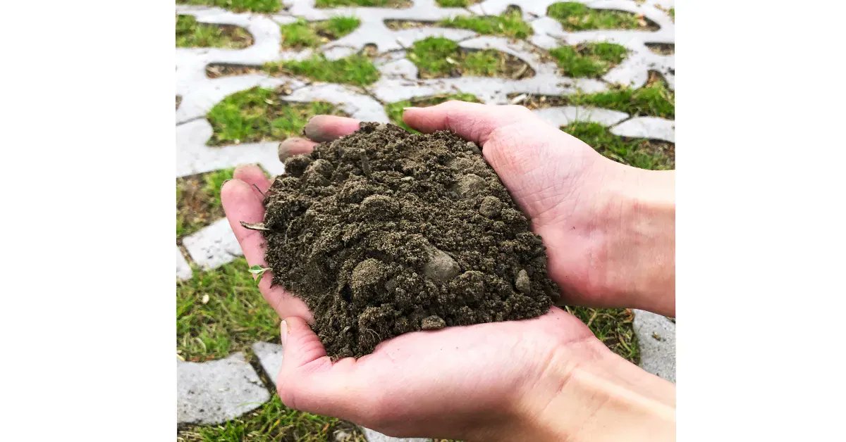 Groen parkeren begint bij een gezonde bodem! Zo kan het gras goed wortelen, daardoor is het robuuster. Het kan regenwater beter afvoeren en is beter bestand tegen droogte. 

Meer informatie over de juiste fundering voor een gezonde bodem. Vind je hier:
buff.ly/3DAP43f
