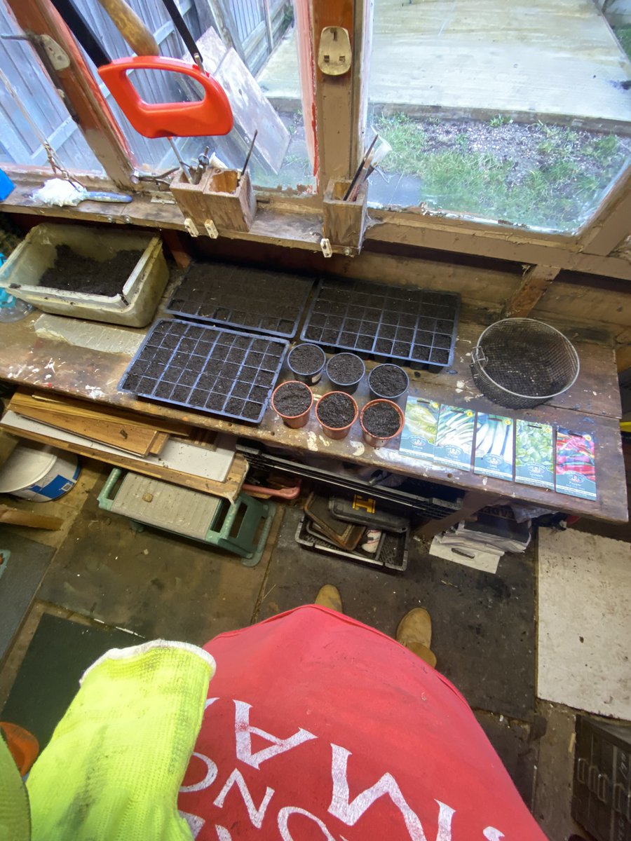 samwarreninnit's tweet photo. @Jynxee_U I should start seeing some seedlings in the next few weeks. Theirs some amazing YouTube channels that have tonnes of informative material about gardening regardless of grow space. Spicy Moustache is one of my faves. Most definitely worth a look! https://t.co/8IFeNVw8Ja