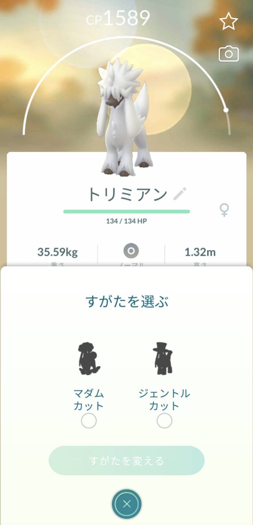 シタ ポケモン垢 Syodaikara Twitter