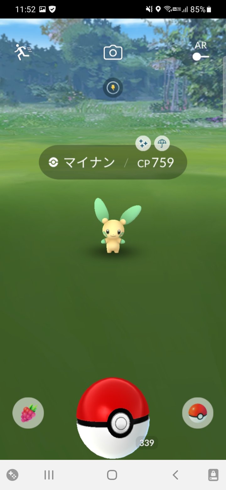 色違いマイナン Twitter Search Twitter