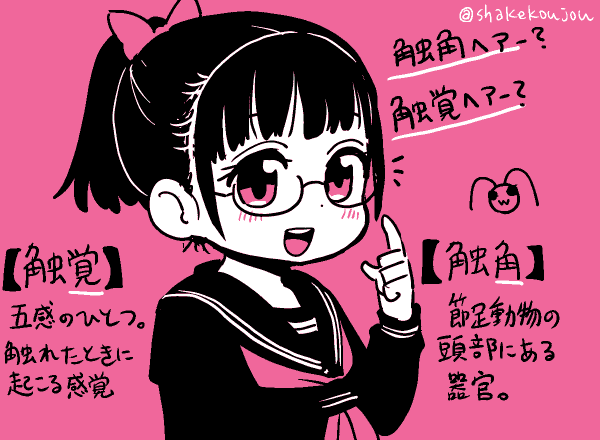 顔の横に垂らした髪の束のやつ好きなんですけど、
あれ「触角ヘア」っていうんですね

…と思ってたんですけど、「触覚ヘア」の方がいっぱい出てきたりして、一体どっちなんだぜ……?

虫の「触角」の方だと思ってたけど
顔に触れてるのを感じるっていう「触覚」なの…?

https://t.co/qfkU7Mf16D 