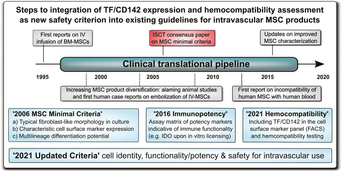 guido_moll's tweet photo. "Improved MSC Minimal Criteria to Maximize Patient Safety: A Call to Embrace Tissue Factor and Hemocompatibility Assessment of MSC Products" 😀 @JamesAnkrum @OlsonCell @jan_nolta @ChariteBerlin @BIHregeneration @uiowa @UTHealthHouston @UCDavisStemCell
https://t.co/KUy4isksKz https://t.co/jzQar5ExEw