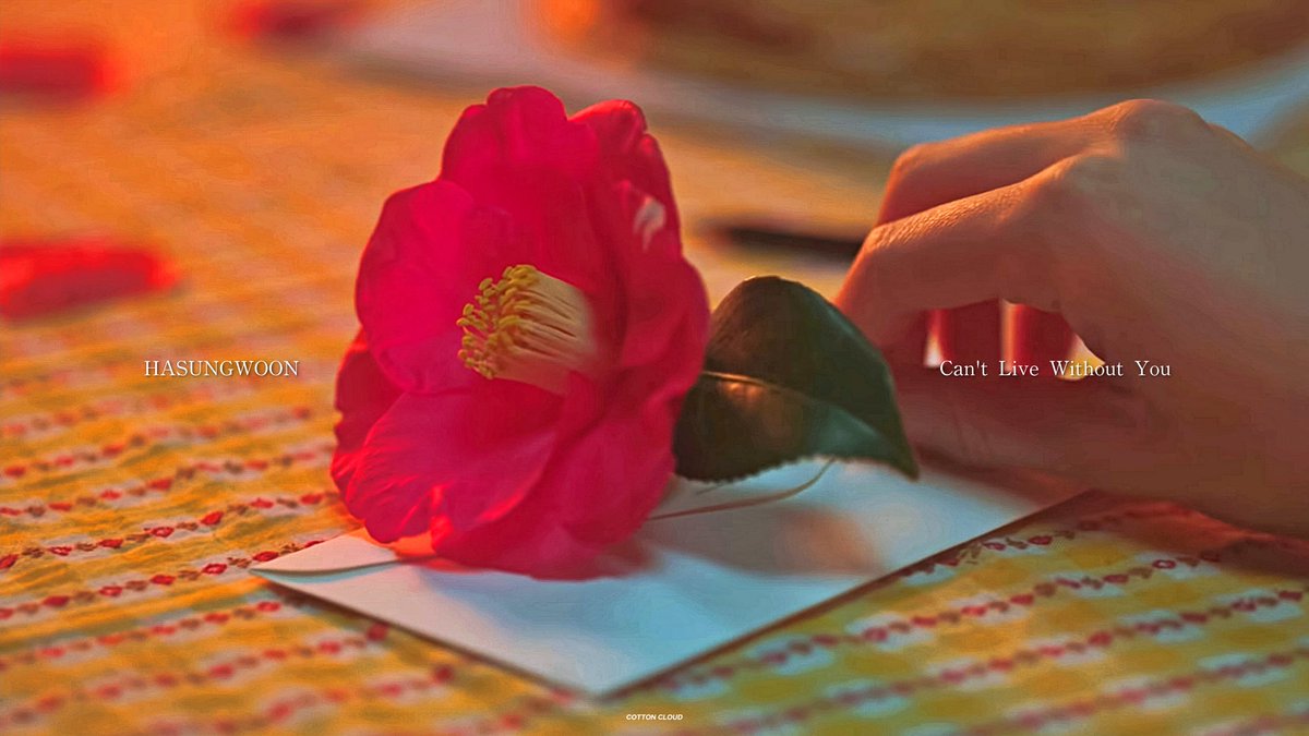 _cotton_cloud's tweet image. ☁️
[💻]
𝐶𝑎𝑛'𝑡 𝐿𝑖𝑣𝑒 𝑊𝑖𝑡ℎ𝑜𝑢𝑡 𝑌𝑜𝑢

🔗 bit.ly/3oDPXD4

#하성운 #HASUNGWOON #ハソンウン #河成雲 #ซองอุน #YOU #배경화면