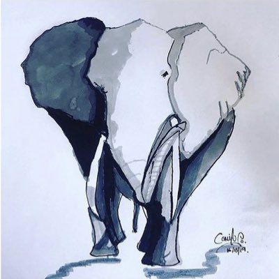 cmlsabogal's tweet photo. #NuevaFotoDePerfil https://t.co/uoMF09rvTT