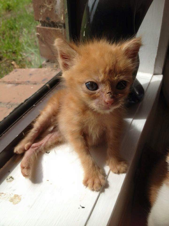 Cath Grant tweet media