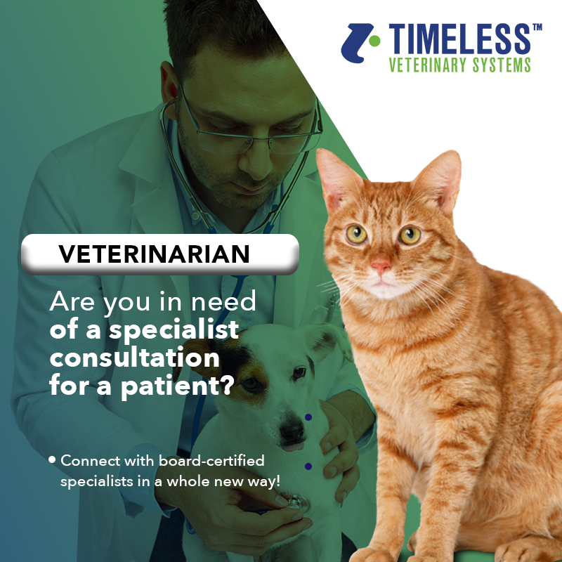 Timeless Veterinary tweet media
