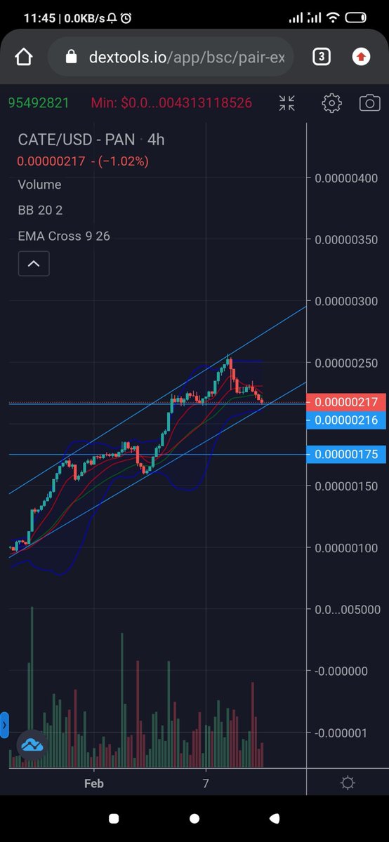 jeffhardy2793's tweet photo. #catecoin is in ascending trend. Slowly but surely before striking its Dog prey. 

#CatecoinArmy #CateArmy #CATE  #BinanceCat https://t.co/yrFWQoGts1