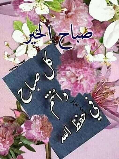 LyAlsha's tweet photo. صباح القلوب الطيبه🌷 https://t.co/3v5Wc6hzCT
