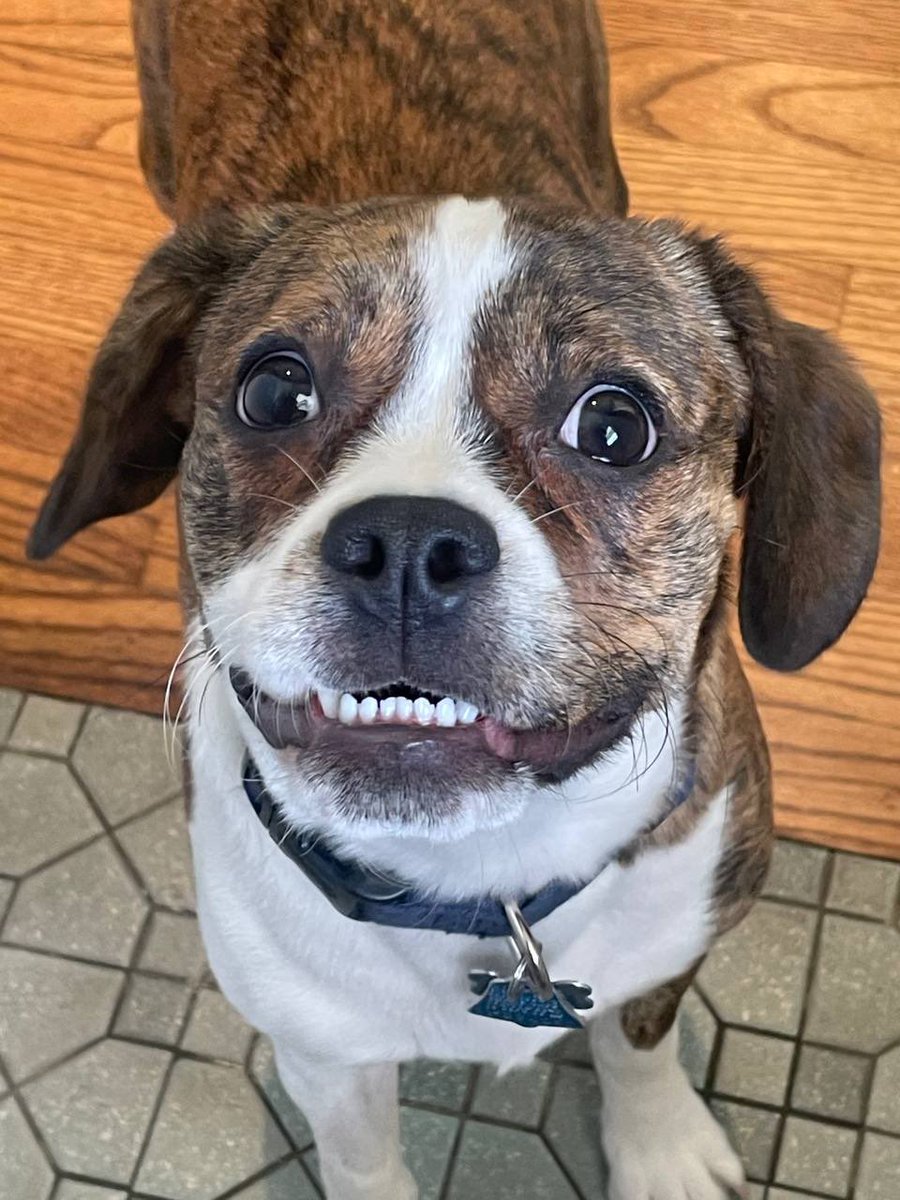 Ty Brown tweet media