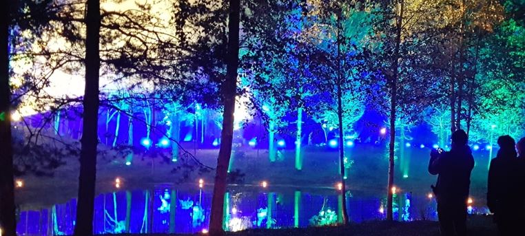mmsaatio's tweet photo. Tulevaisuuslukutaito on metsäalalla uusi käsite, Metsäbiotalouden tulevaisuusajattelijat -yhteisoivaltamo (METUMO) -hankkeessa sitä havainnollistetaan metsäalan omin käsittein ja esimerkein. @UniEastFinland ja @UniTurku, rahoittajana @mmsaatio  https://t.co/b1BDJGyhuF https://t.co/mg55XJJnl0