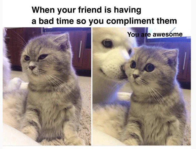 WholesomeMeme's tweet photo. https://t.co/YaEmFLMR4d