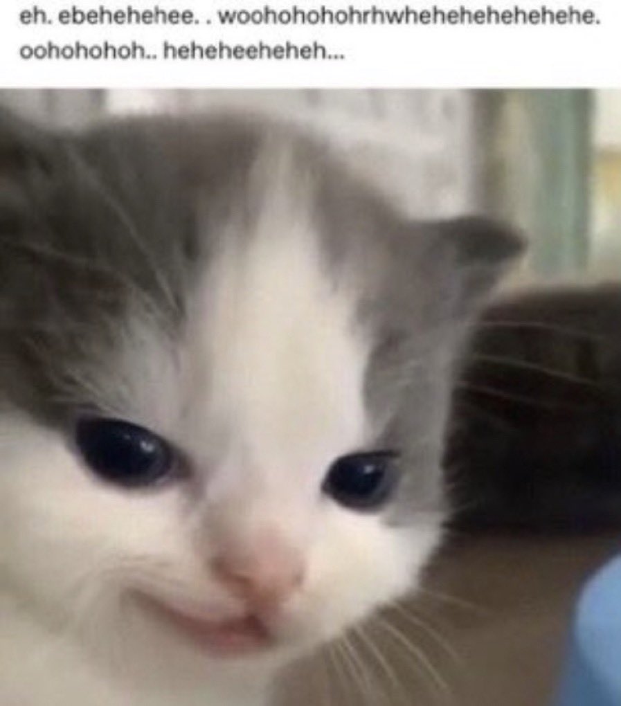 #MHA343 

horikoshi when he’s trying to decide if he should kill off aoyama or if he should just kill off a 4th female character to keep the streak going