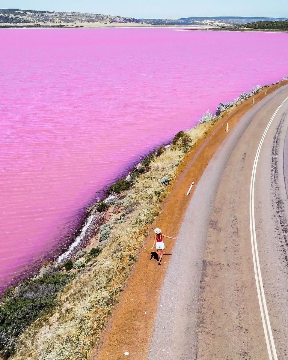 Definition of summer this year: Road trip in #Australia's #coralcoasthighway and stopping at #HuttLagoon! Australia is opening up VERY soon and its time to plan for the next #holiday #adventure!
📷 @salt.and.charcoal 
@australiascoralcoast  
#perth Reposted from @westernaustralia