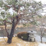 ツイートに含まれる画像