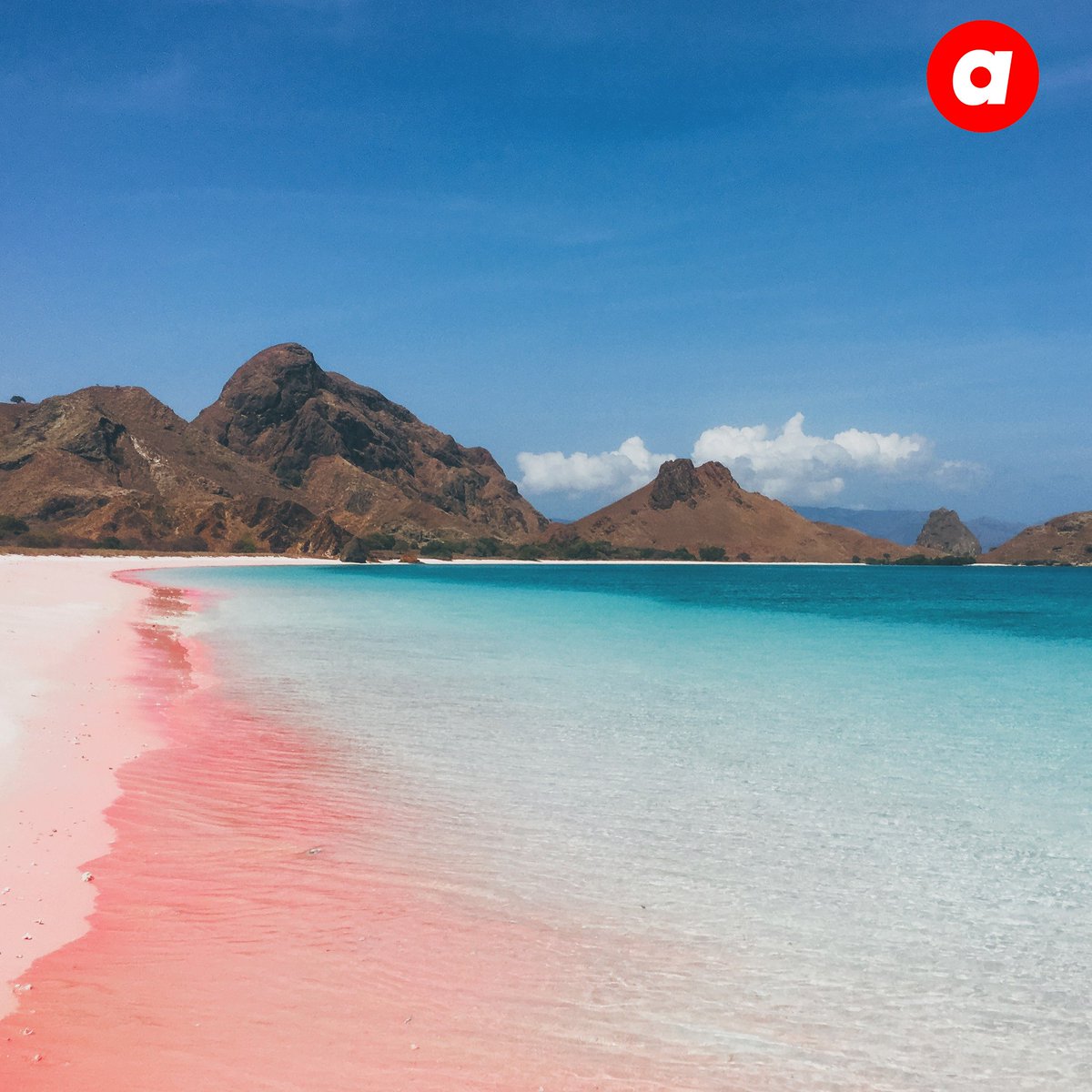 AirAsia Indonesia tweet media