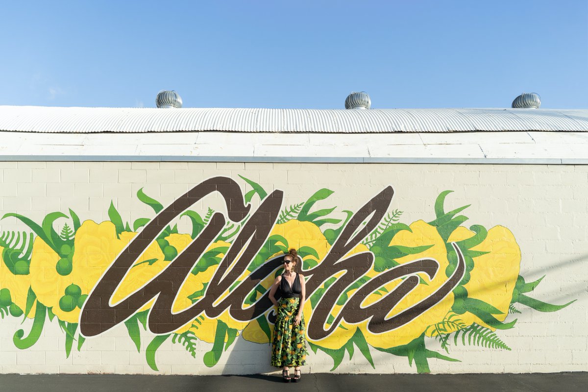 eknybikinis's tweet photo. Crisis is opportunity in disguise. Say Aloha to @eknybikinis 2.0: https://t.co/wGcUrJtch8 #eknybikinis #reinvention #elizabethkosich https://t.co/r4nVM782wD