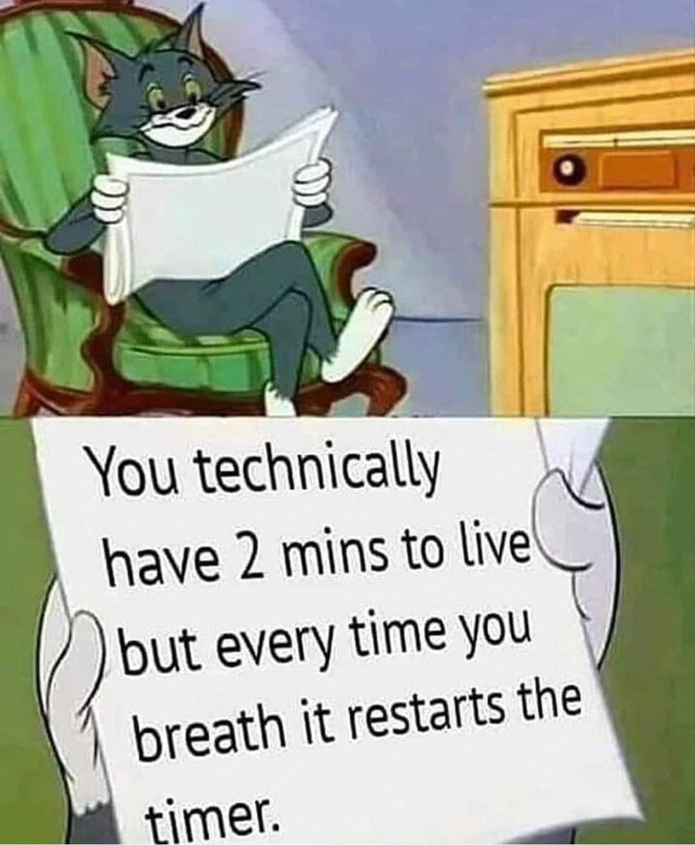 CinnamonToastKen tweet media